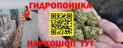 СК Донской