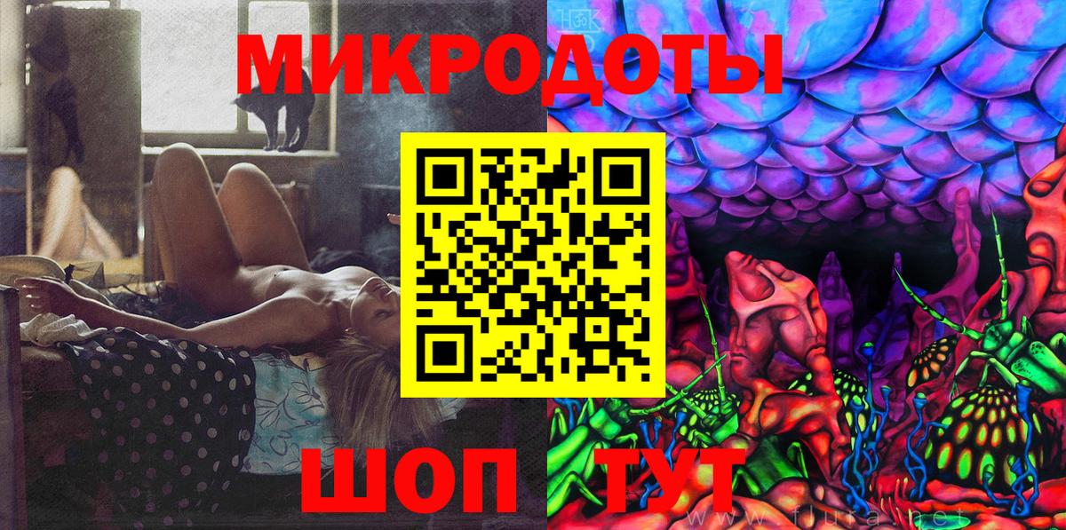 Псилоцибиновые грибы Psilocybe Юрга